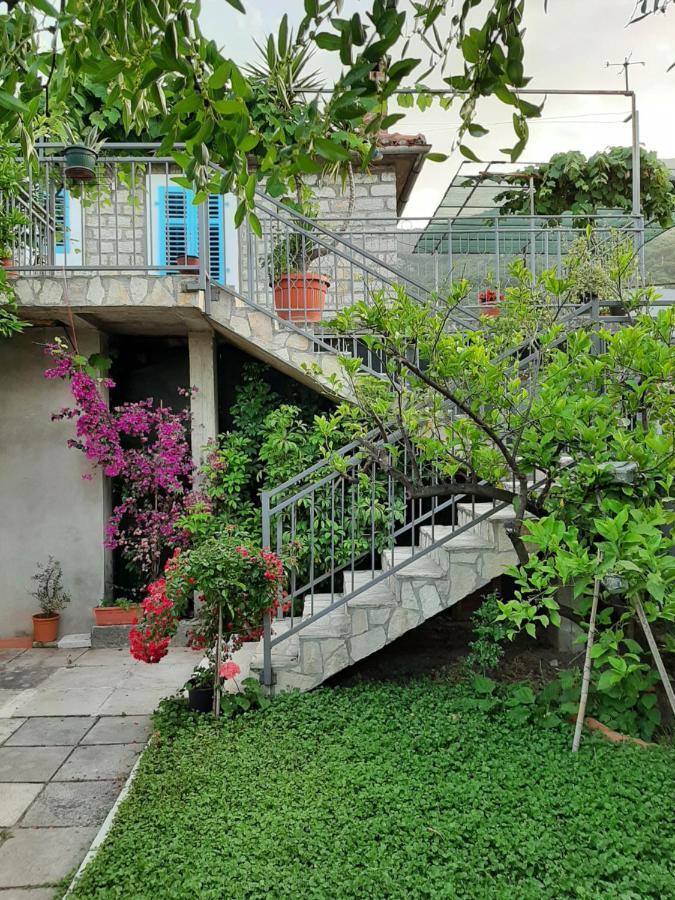 Apartment Magazini Petrovac Zewnętrze zdjęcie